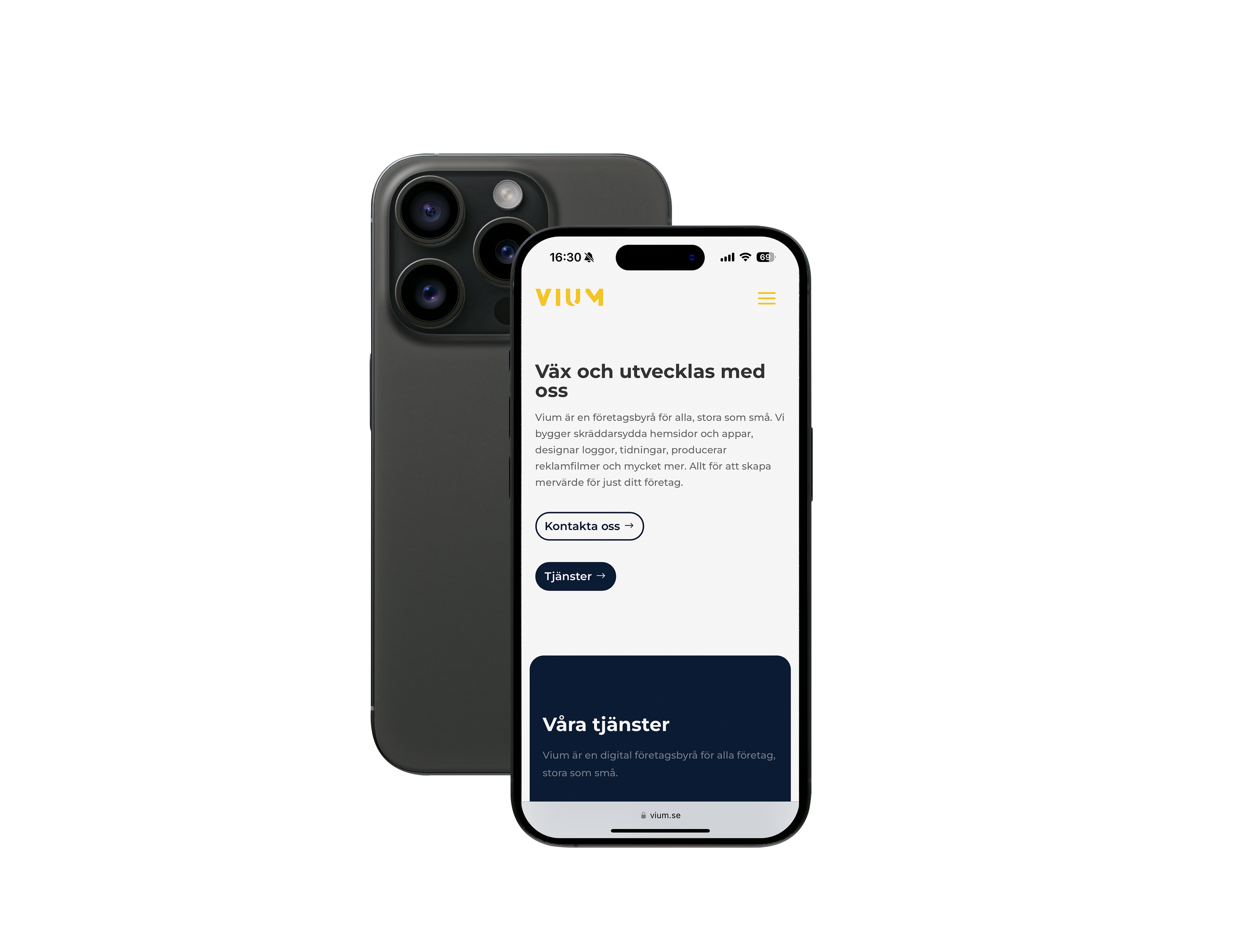 IPhone 15 pro, Vium no